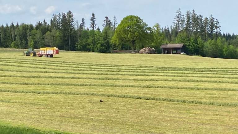 Ferienwohnung Dietramszell