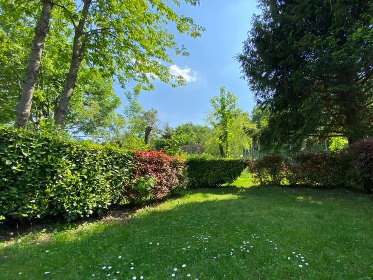 foto49