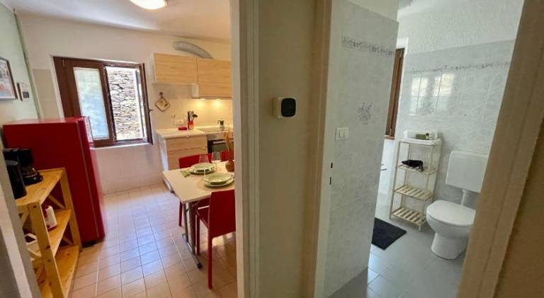 Rental apartment with yard — photo 2