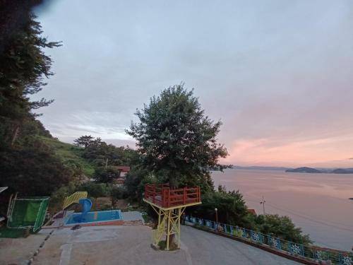 foto6
