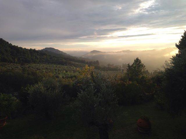 foto5