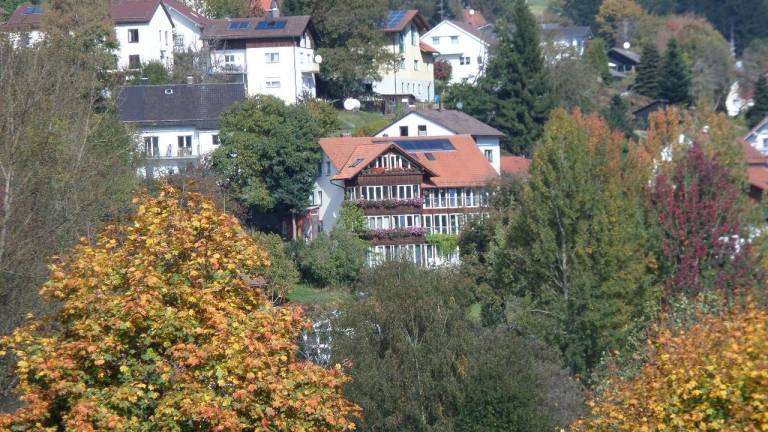 foto8