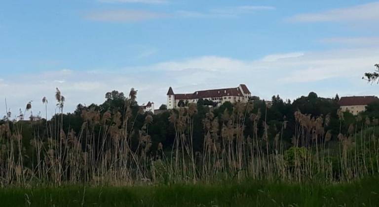 foto49