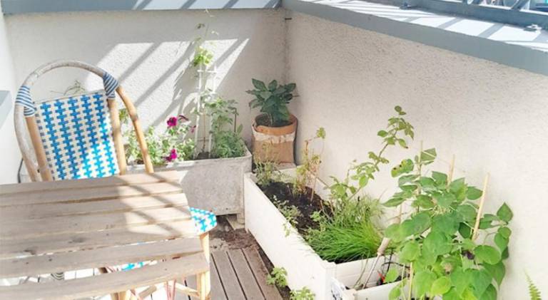 Rental apartment with 1 room for 3 persons — photo 4