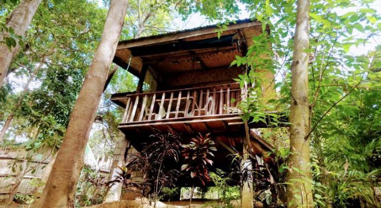 Camp Talusi Hilltop Overlooking — photo 4