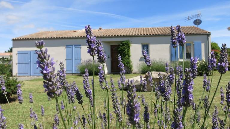 Maison de vacances Nieulle-sur-Seudre