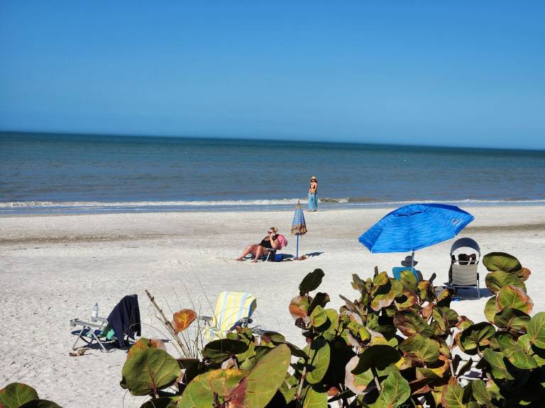 Cottage Indian Rocks Beach