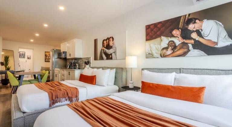 Serviced apartment with terrace | Pets are welcome in Montréal, QC