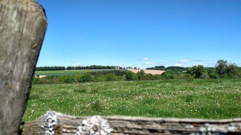foto15