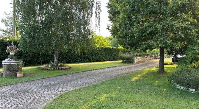 foto12