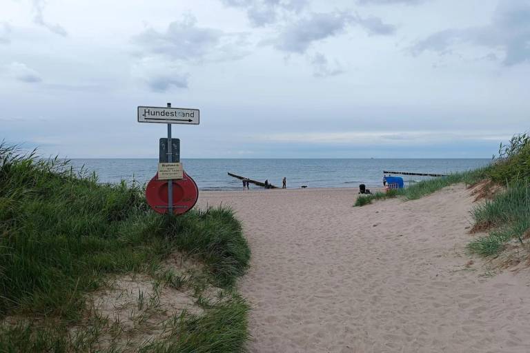 foto19