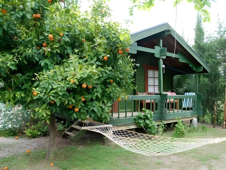 Bellerofon Beach Otel — photo 4