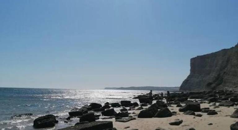 Fully equipped charming vacation home with garden, barbeque & patio | Pets are welcome — photo 5