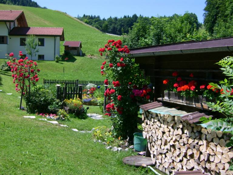 foto11