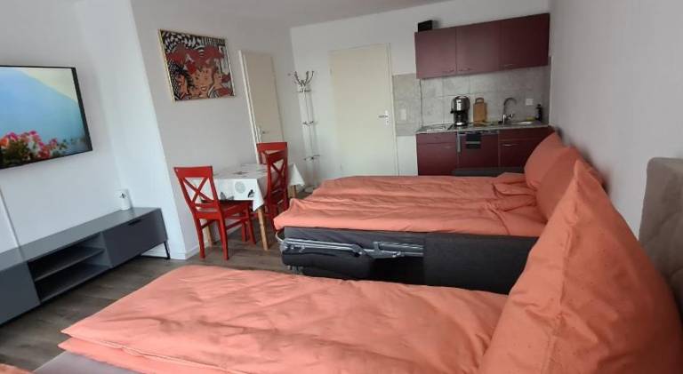 Holiday apartment with pool | Pets are welcome — photo 2