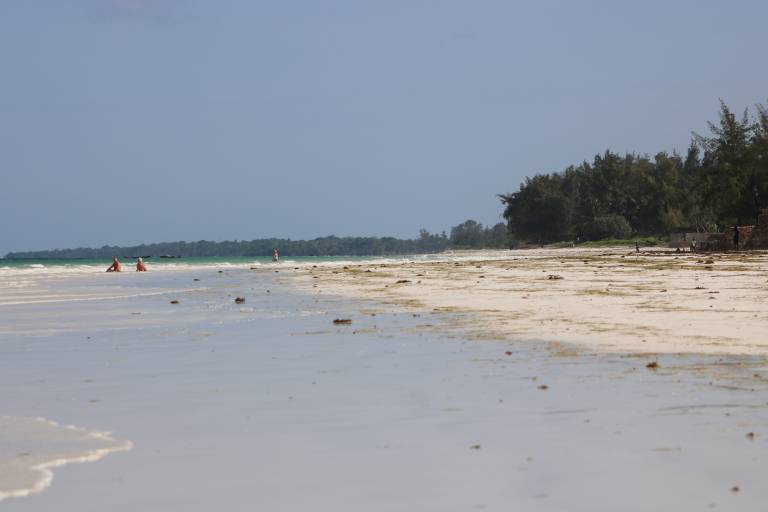 foto4