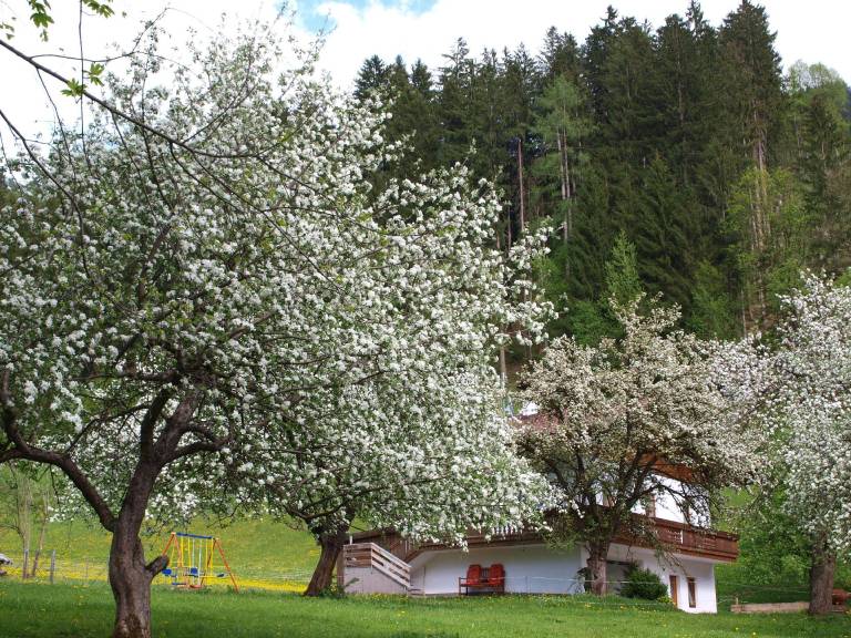 Ferienhaus  Zillertal