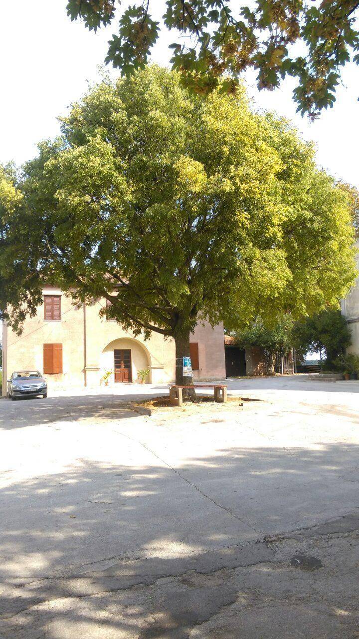 foto36