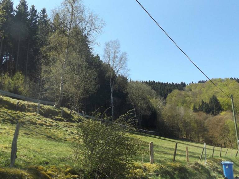 foto15