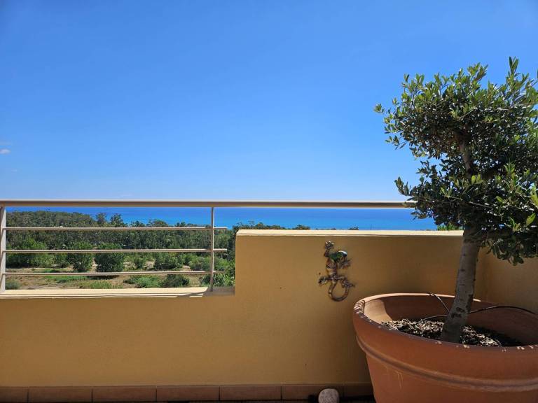 Appartement Solenzara