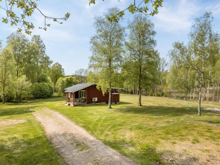foto21