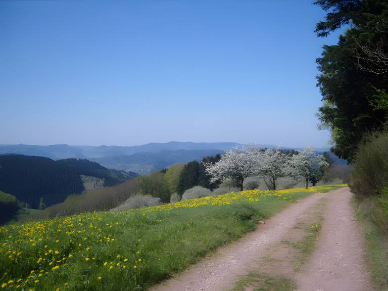 foto20