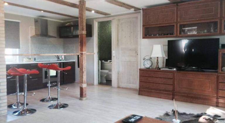 Apartment with hot tub — photo 4