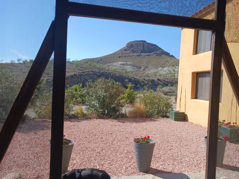 Vacation home with garden, barbeque & pool | Beach view — photo 4