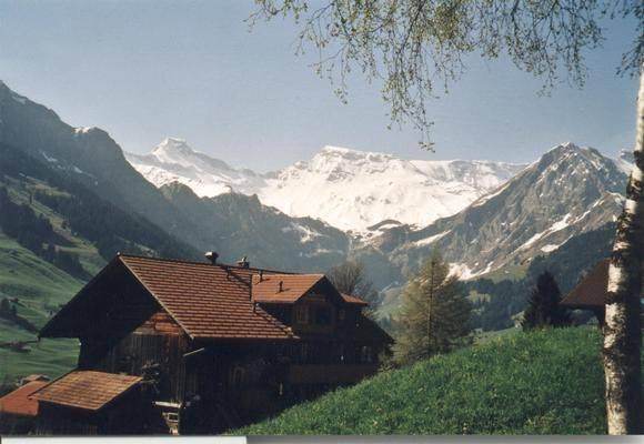 foto5