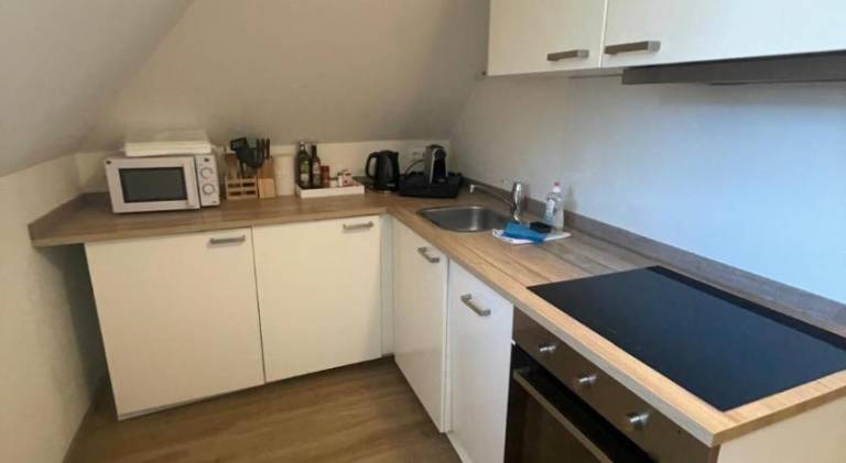 Rental apartment | Pets are welcome — photo 3