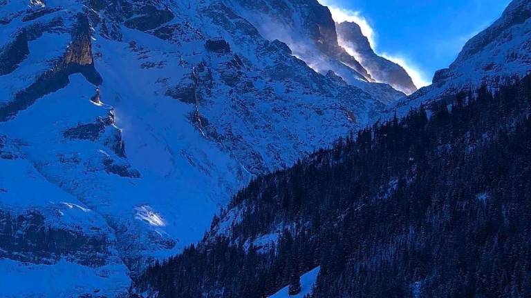 Ferienwohnung mit Hund in Grindelwald, Berner Oberland für max. 3 Personen Ferienwohnung mit Hund in Grindelwald, Berner Oberland für max. 3 Personen