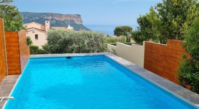 Holiday apartment with jacuzzi & pool — photo 3