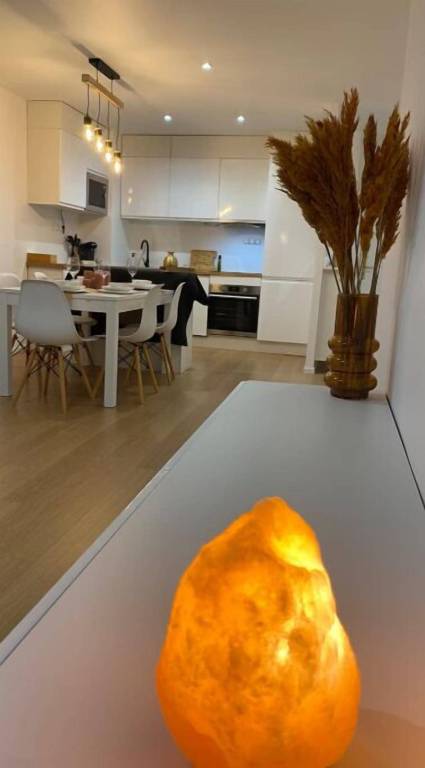 Appartement Bellegarde-sur-Valserine