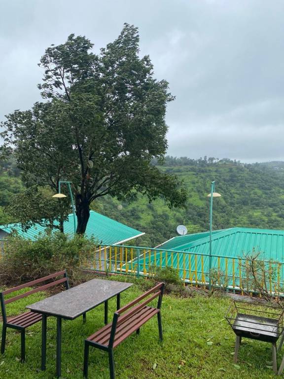 foto41