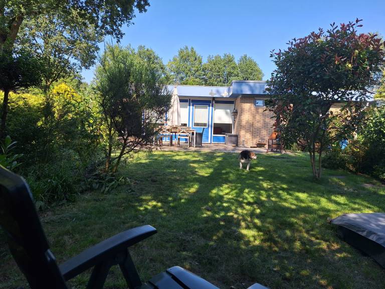 Bungalow mit Grill, Sauna und Garten | Naturblick