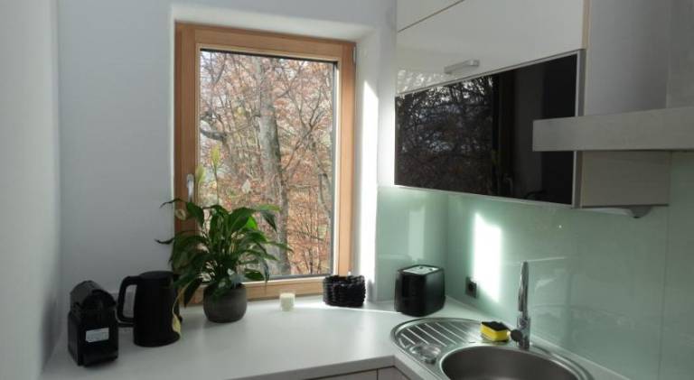 Rental apartment | Dogs allowed — photo 4