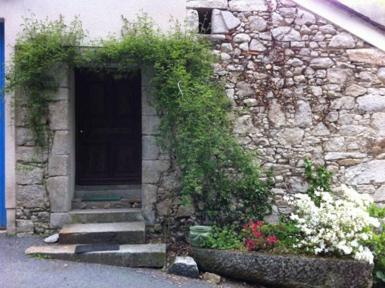 Holiday apartment with grill, yard & terrace | Nature view | Pet-friendly — photo 4