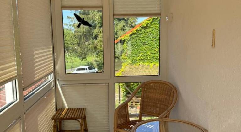 Wonderful rental apartment with barbeque, garden & patio | Pets allowed — photo 4
