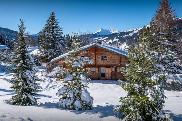 Chalet Les Gets