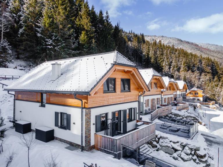 Chalet  Donnersbachwald
