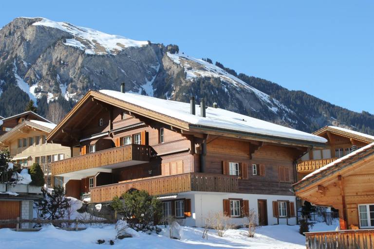 Appartement Lenk