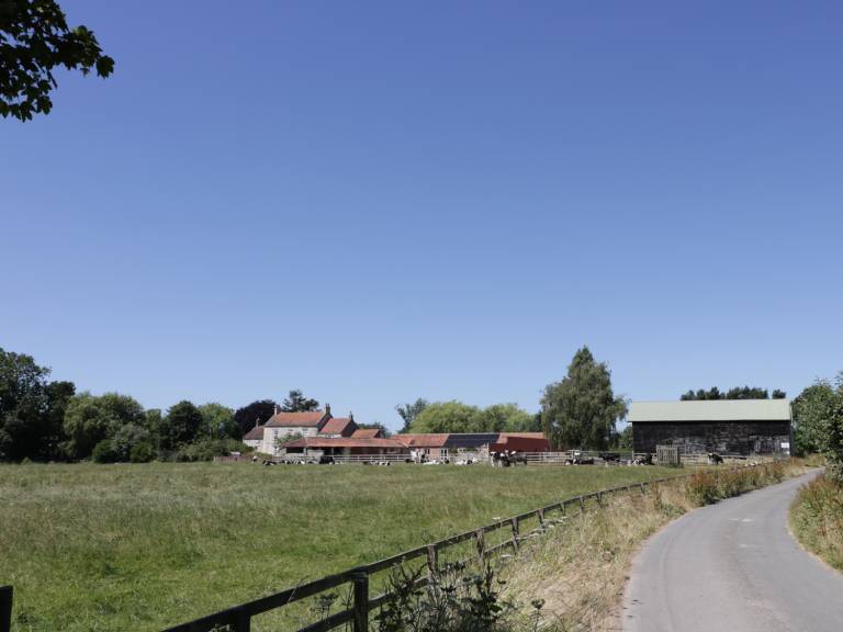 foto21