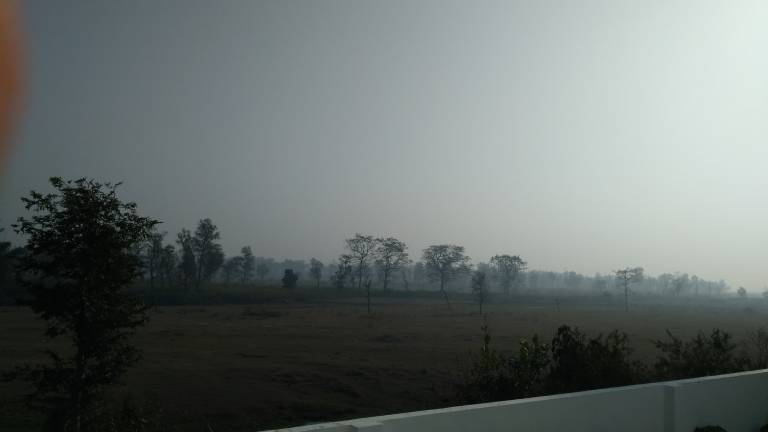 Shri Vyas Homestays — photo 5