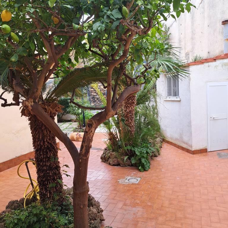 Nice vacation home with fast internet & garden | Garden view | Next to the beach | Good for workation | Dogs allowed — photo 4