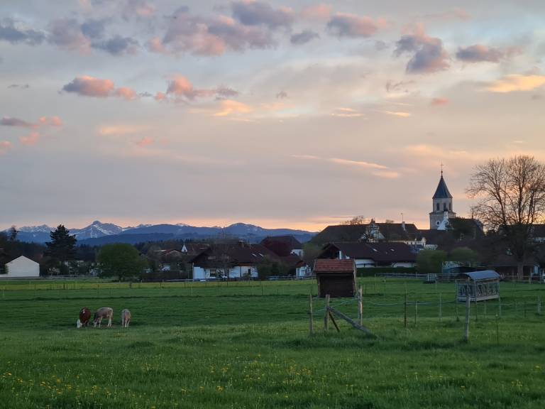 foto47