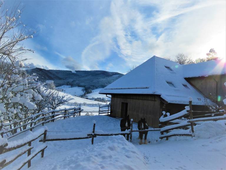foto49