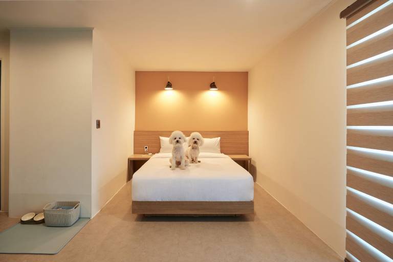 Doglia Hotel in Sokcho