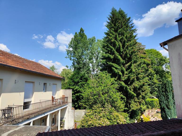 Appartement Bains-les-Bains