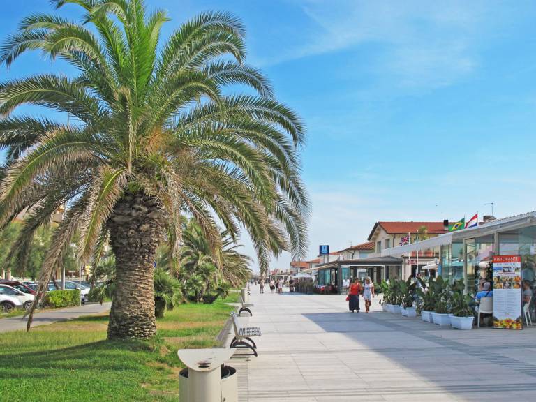 foto43