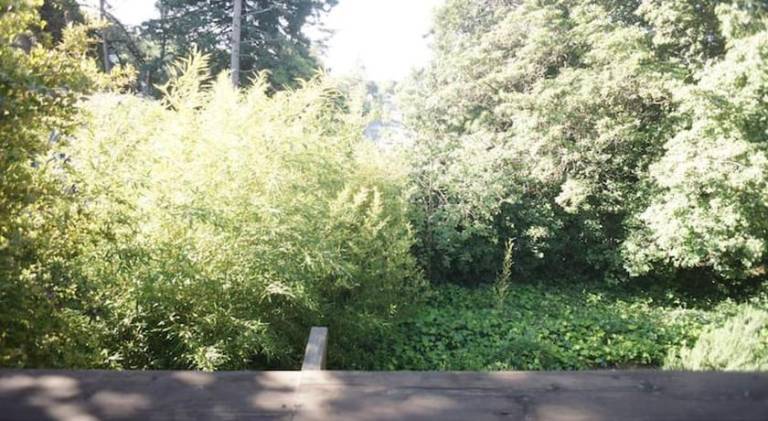 foto21